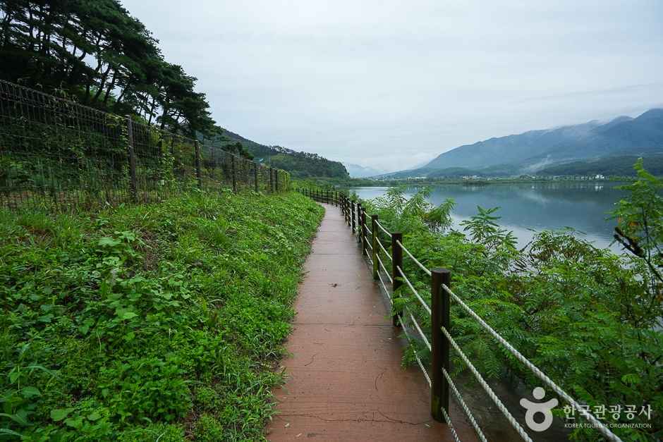 청천호 둘레길 이미지 1