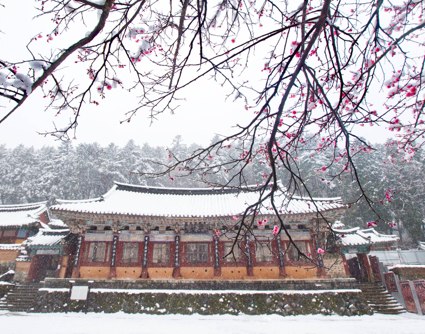 옥천사(고성) 이미지 3