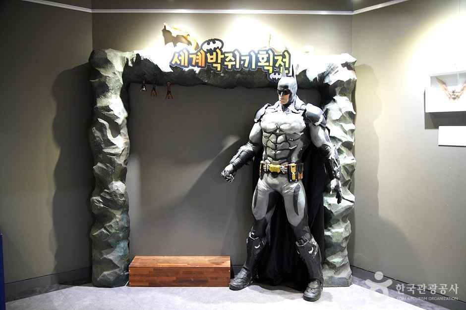 영월 동굴생태관 이미지 3