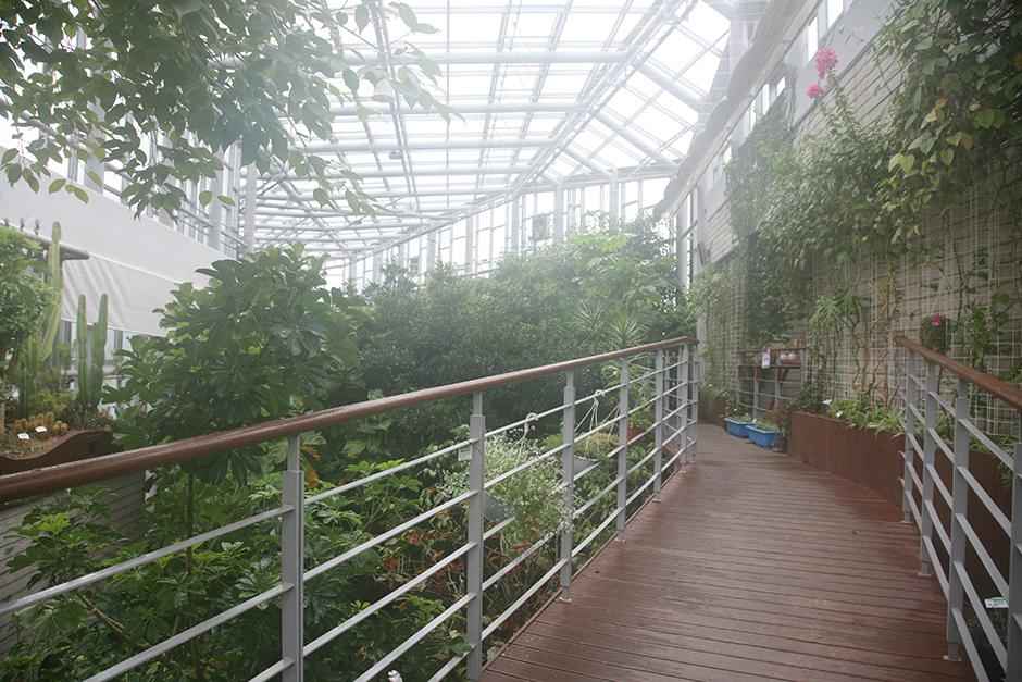 화명수목원 이미지 6