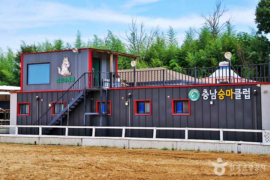 충남승마클럽 이미지 1