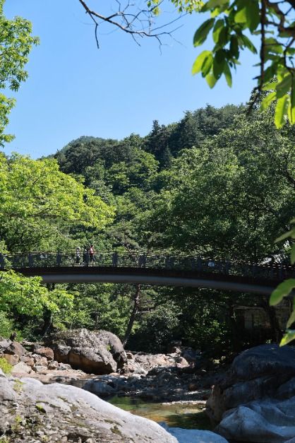 대원사계곡길 이미지 6