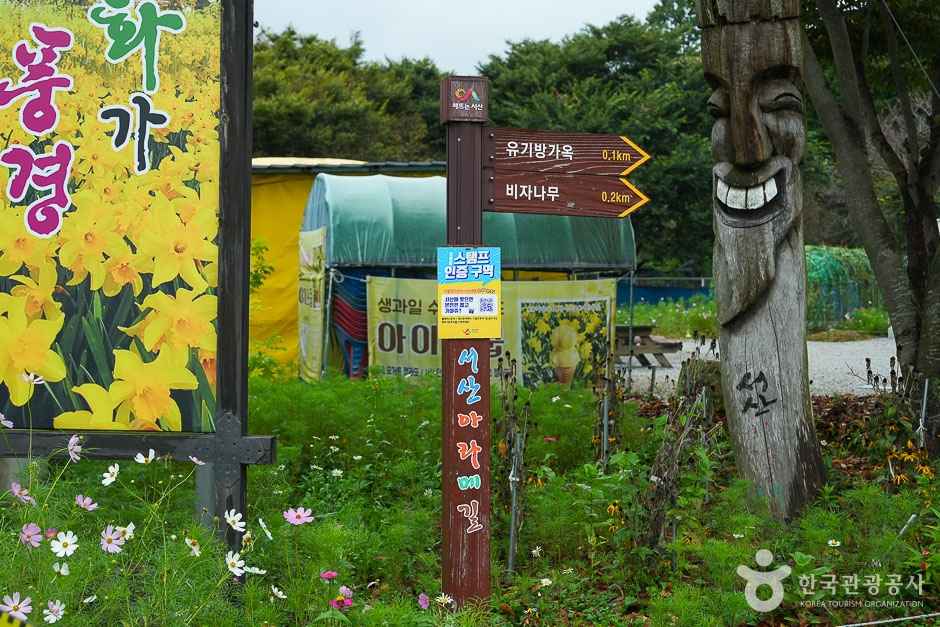 천년 미소길 이미지 3