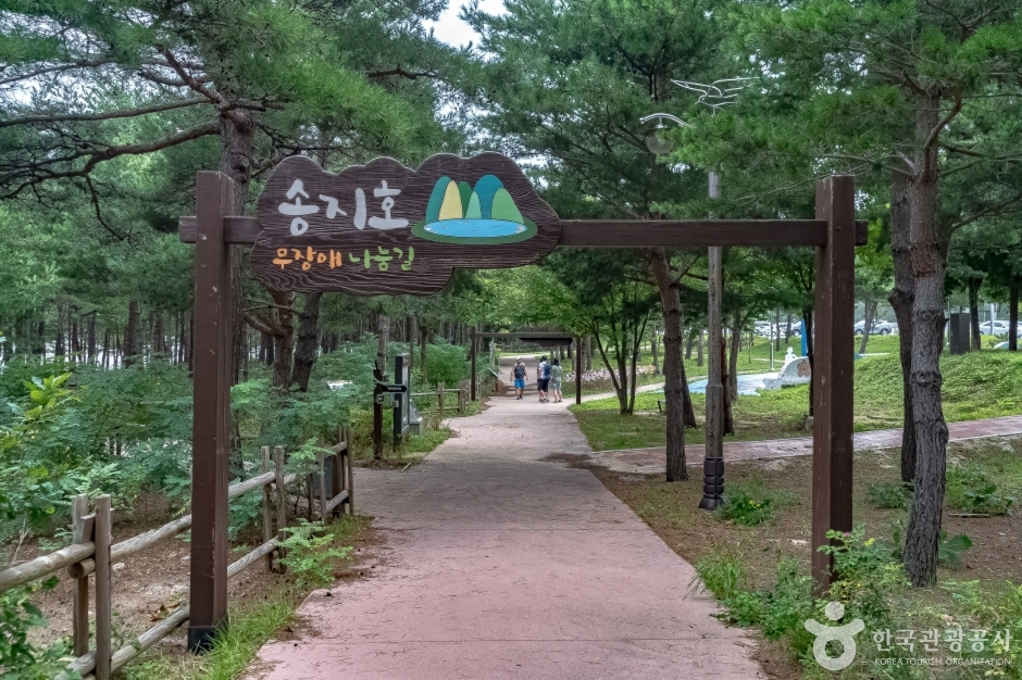 송지호둘레길 이미지 1