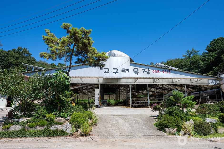 고구려목장 이미지 5