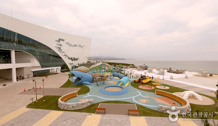 울진 국립해양과학관 이미지 2