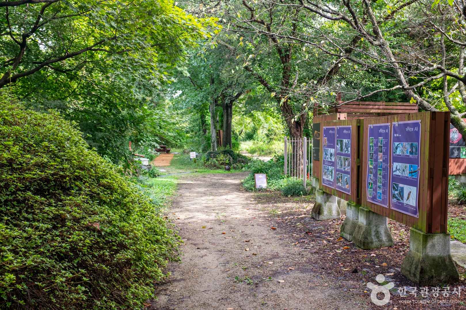 기청산식물원 이미지 7