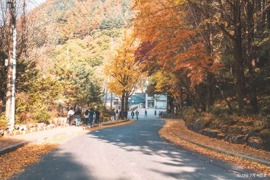 단양 보발재 이미지 5