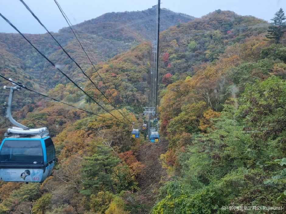 발왕산 관광케이블카 이미지 3