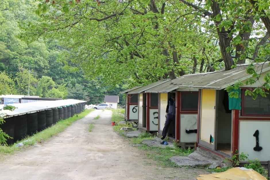 감악산낚시터 레저타운 이미지 5