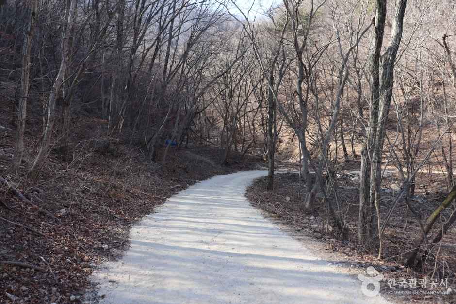 경주 왕의 길 이미지 2