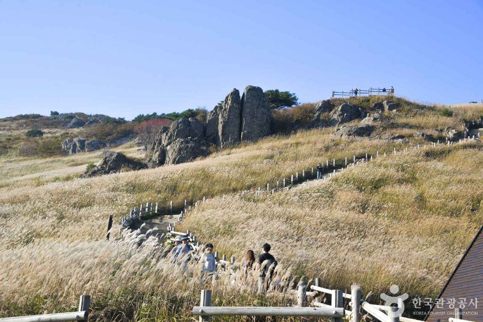 간월재 억새 이미지 2