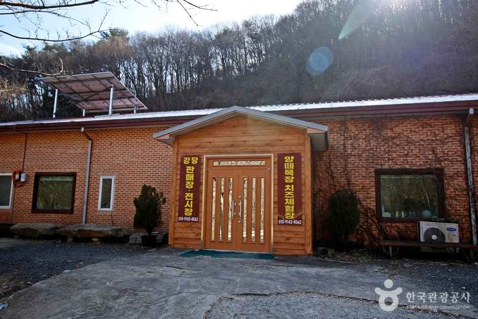 정읍 양떼목장 임실치즈마을 이미지 4