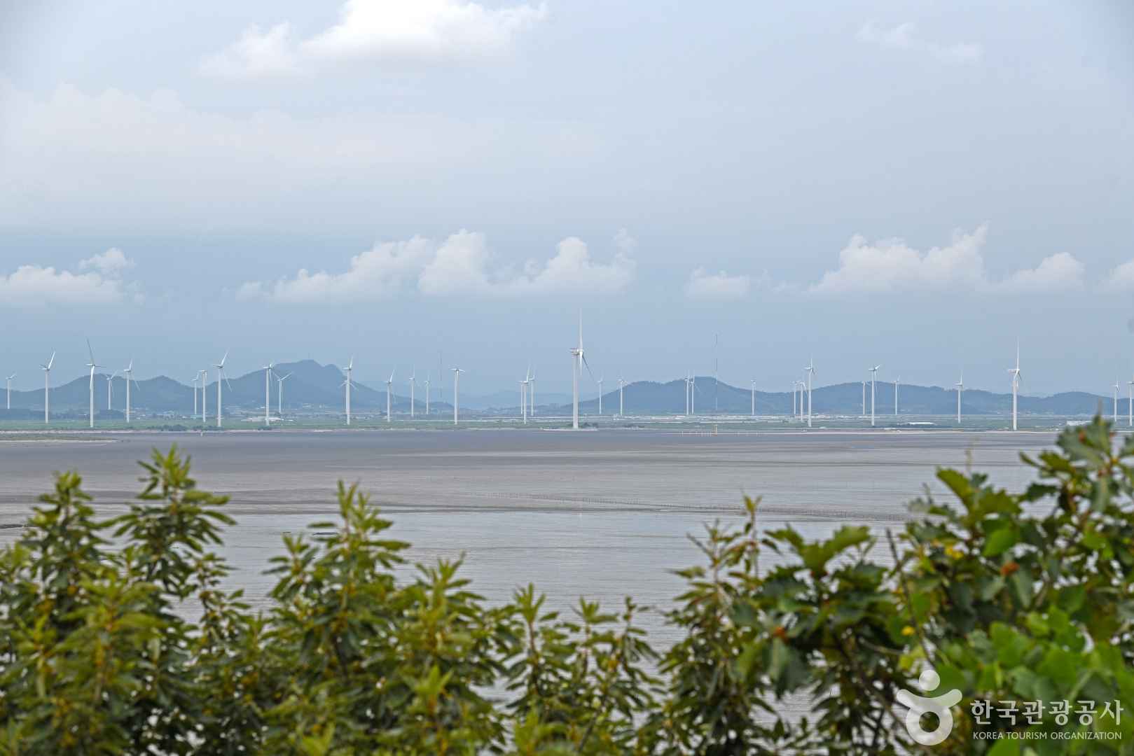 백암해안전망대 이미지 3