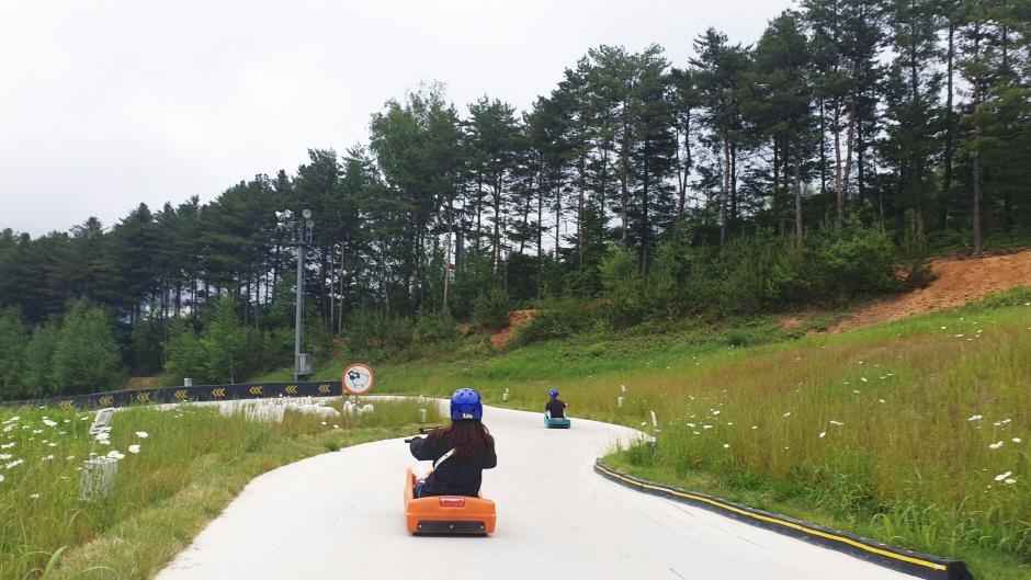 용평루지 이미지 2