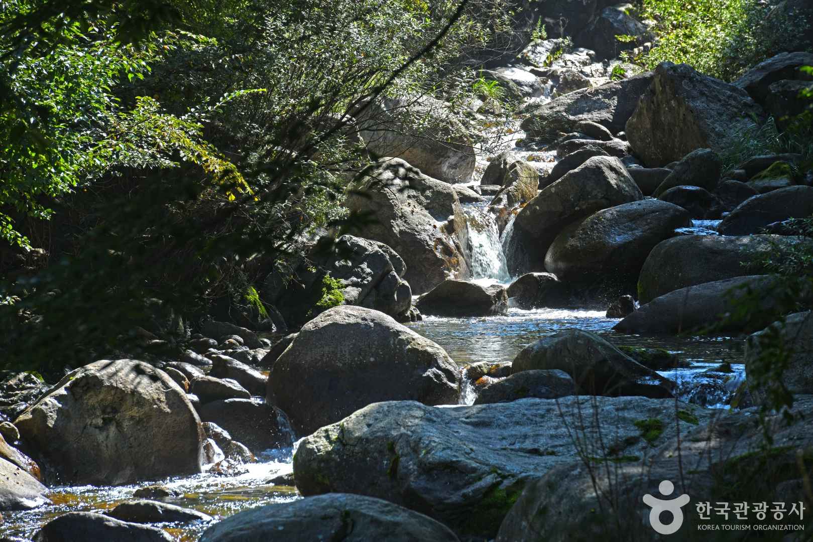 새밭계곡 이미지 3