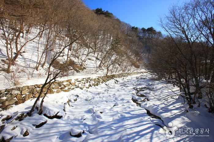 구천동계곡 이미지 4