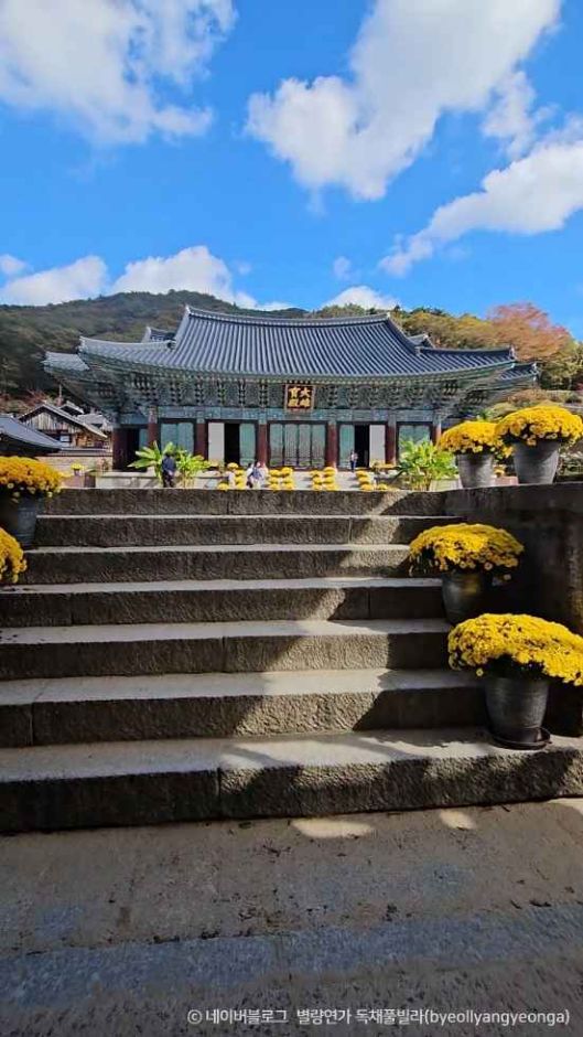 송광사(순천) 이미지 5