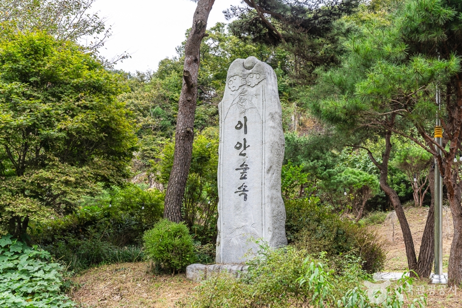이안숲속 이미지 1