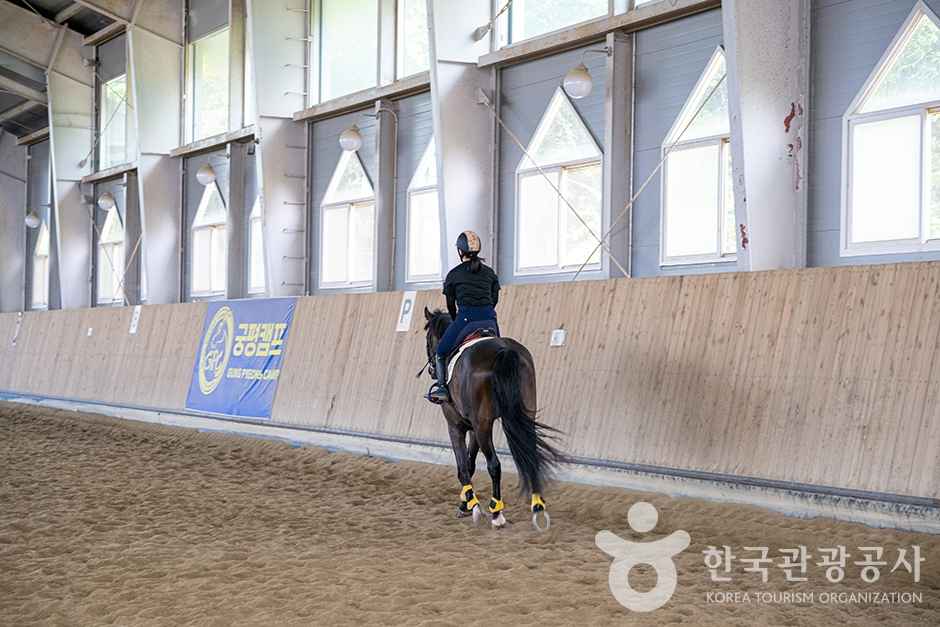 궁평캠프 승마장 이미지 4