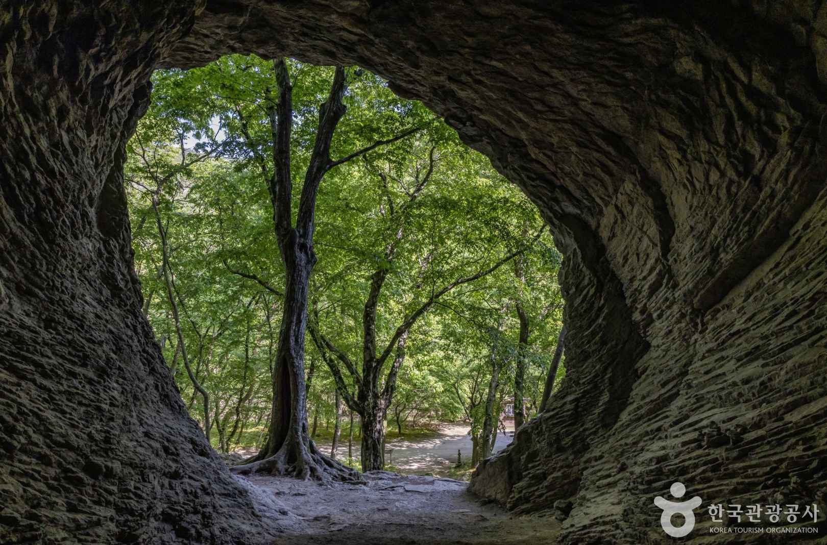 진흥굴 이미지 1