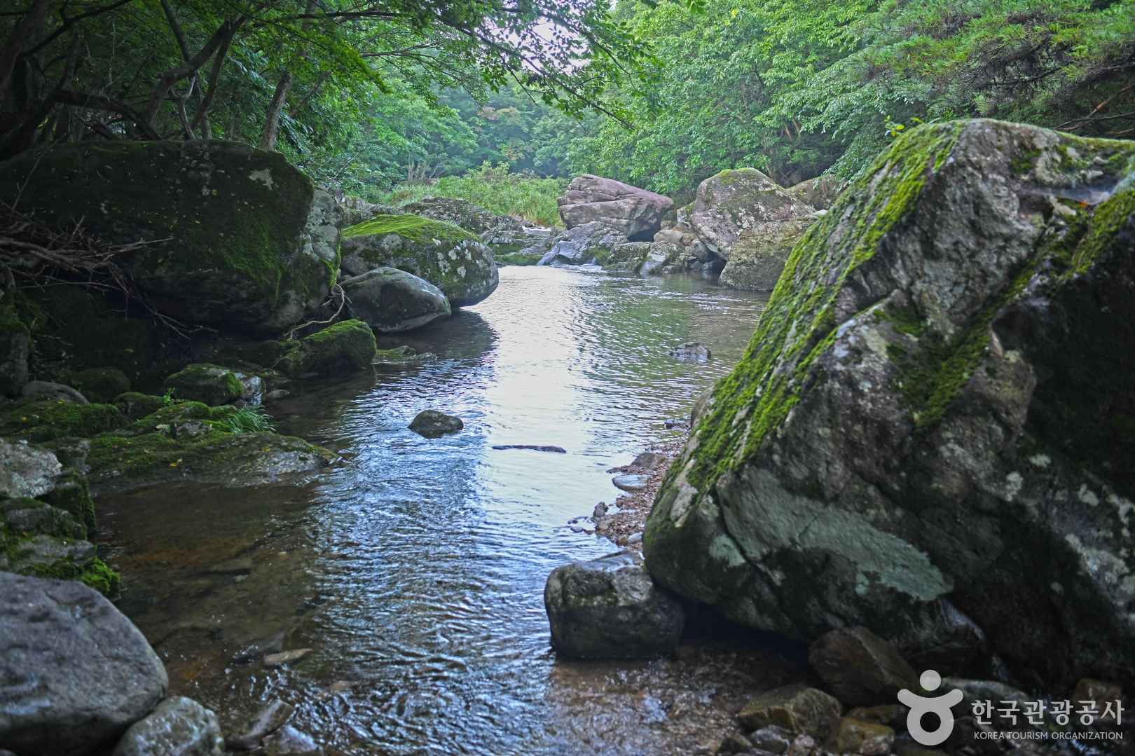 남창계곡 이미지 2
