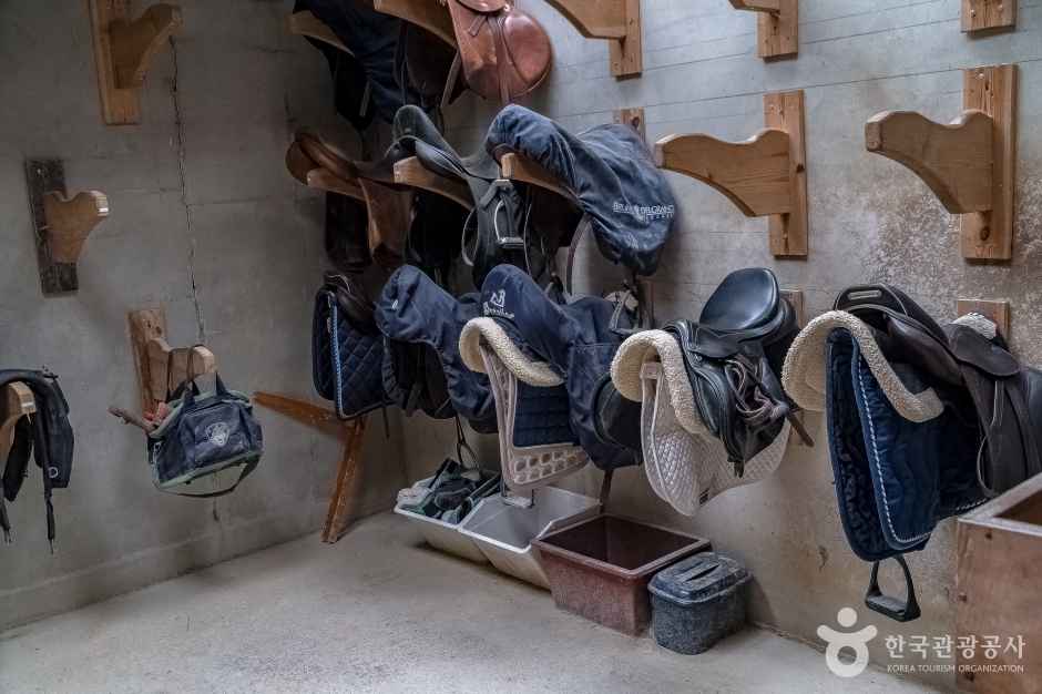스티븐승마클럽 이미지 3