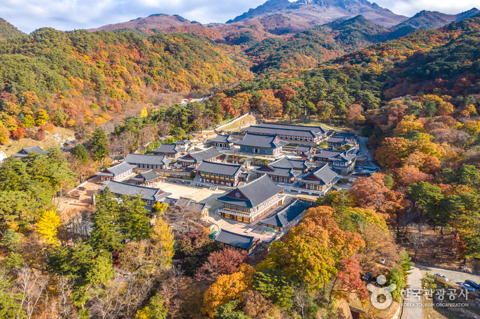 해인사 이미지 1