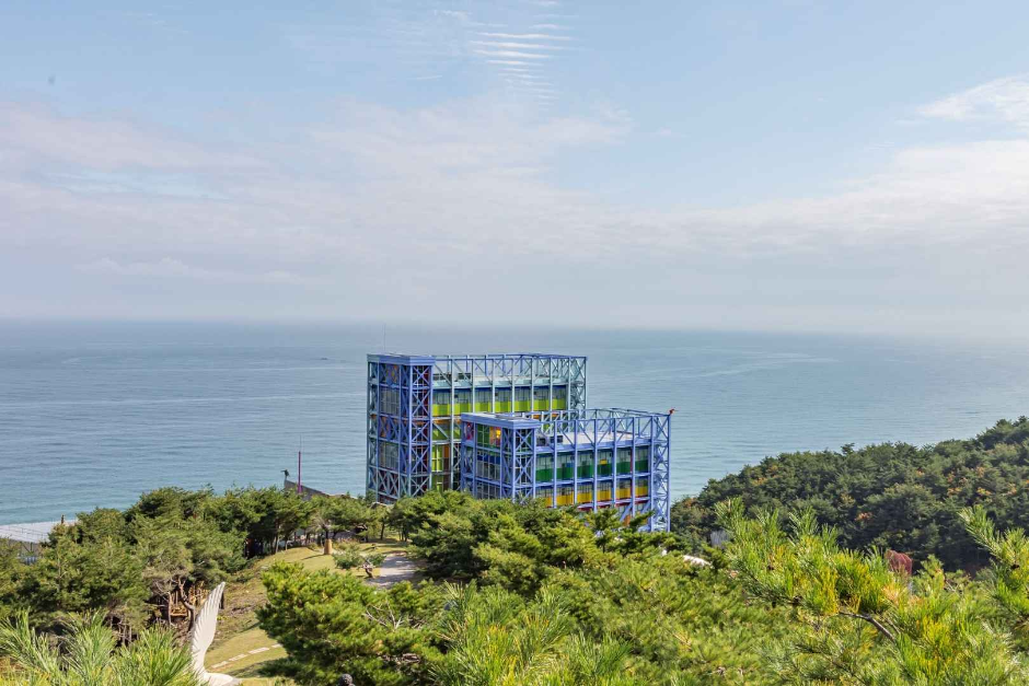 하슬라아트월드 이미지 3