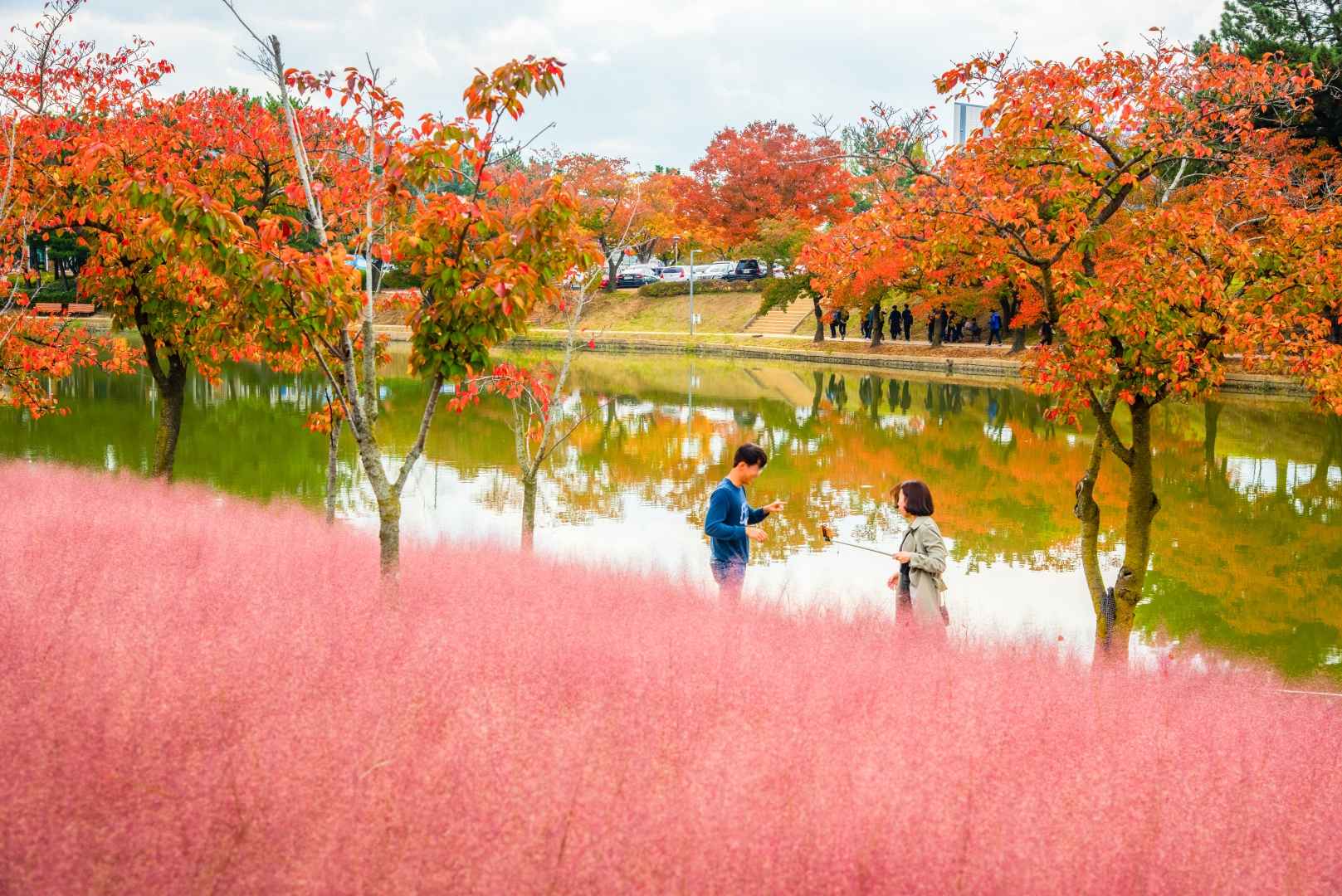 경주 보문관광단지 이미지 4