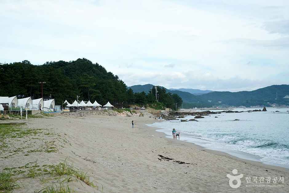 문암해변 이미지 7