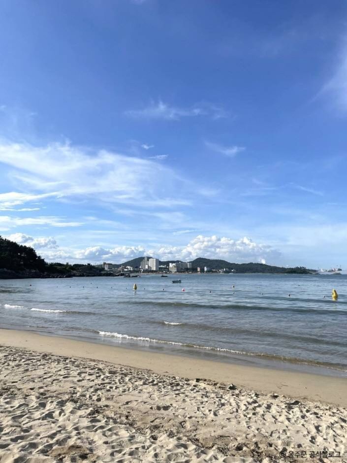 솔개해수욕장 이미지 6