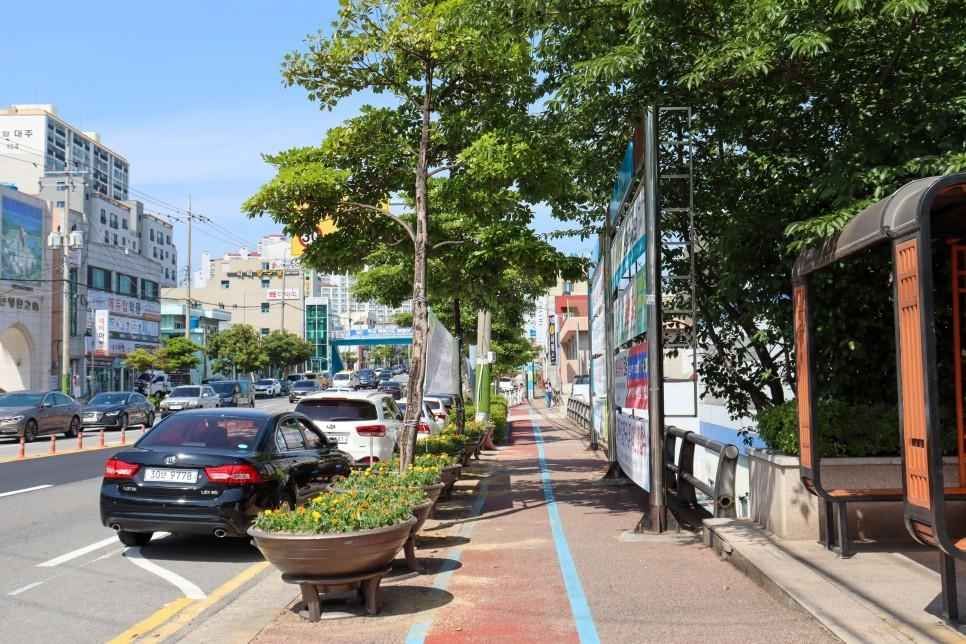 오동도-여자만자전거길 이미지 5