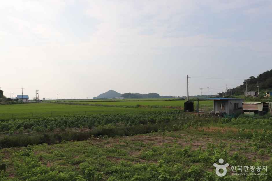 주문도 이미지 3