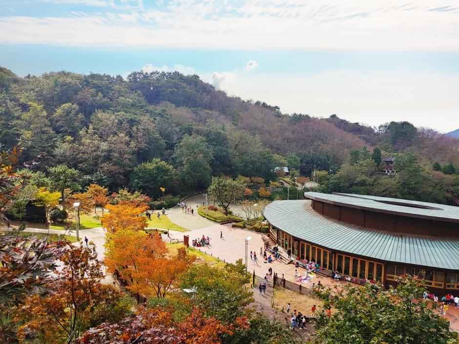 진해드림로드(내 마음을 연주하는 아름다운 꿈길) 이미지 2