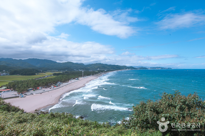 맹방해변 이미지 4