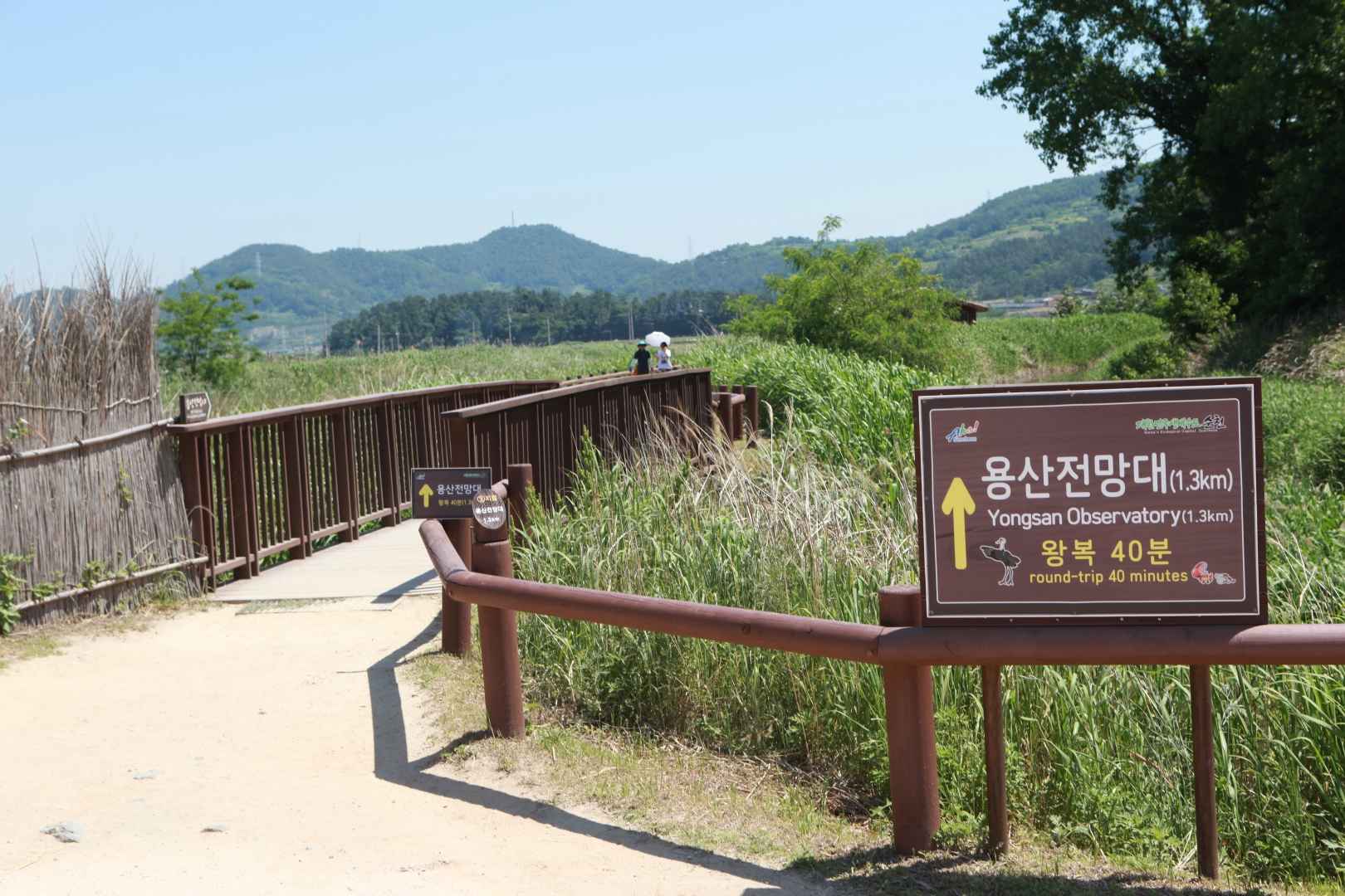 순천만 용산전망대 (S자 물길) 이미지 1