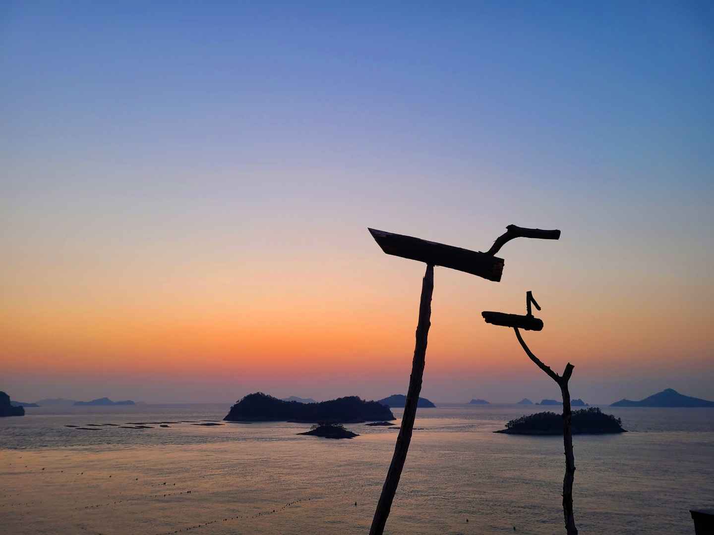 진도 이미지 2