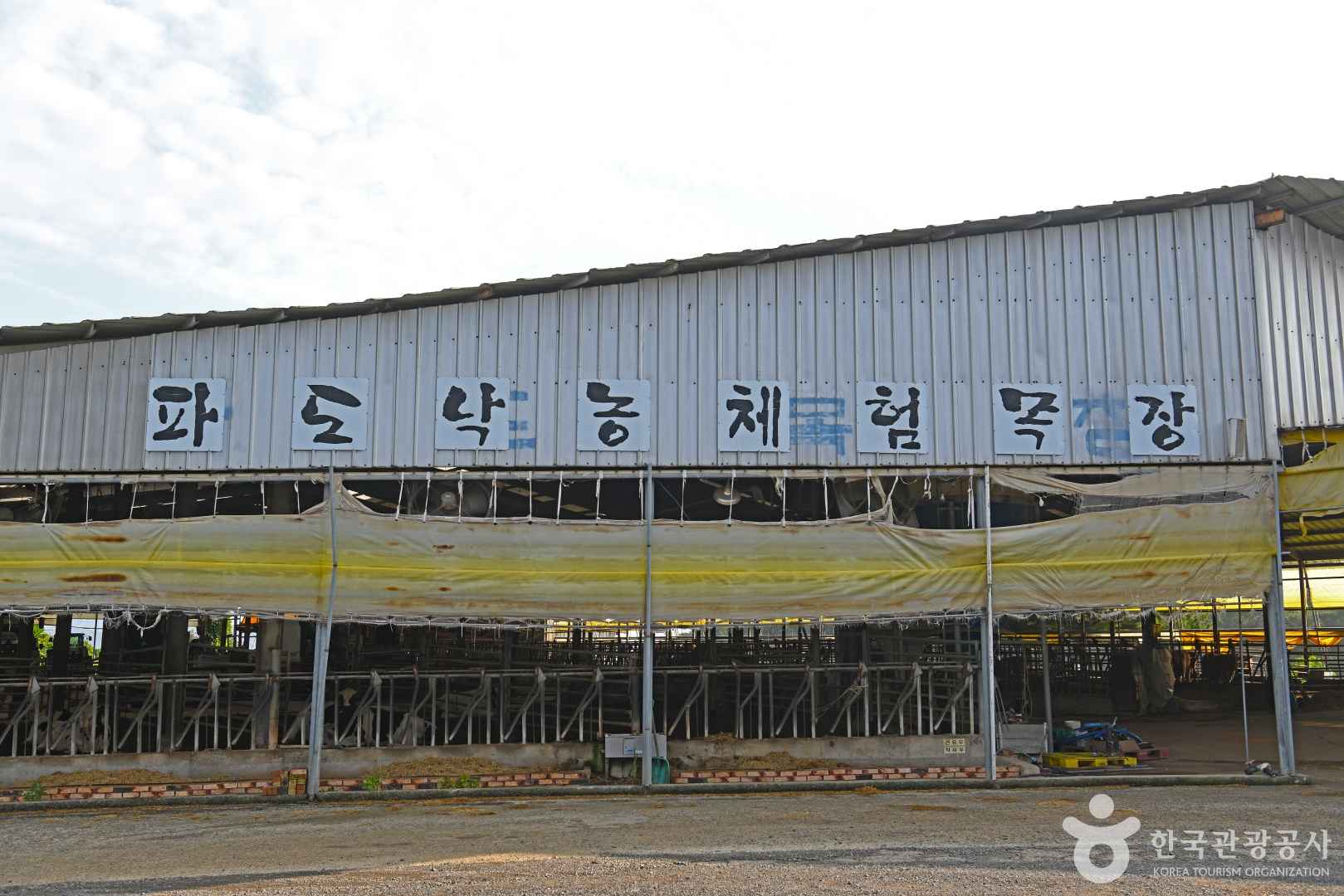 파도목장 이미지 4