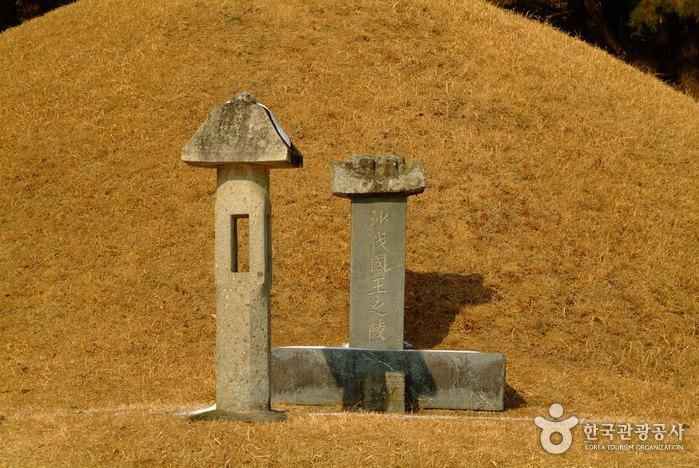 전사벌왕릉 이미지 4