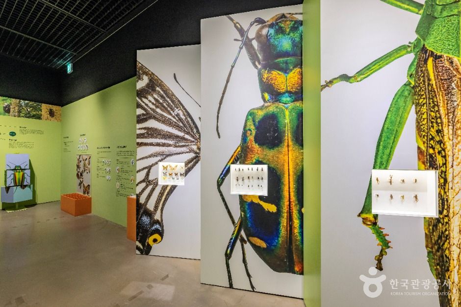 국립생물자원관 이미지 5