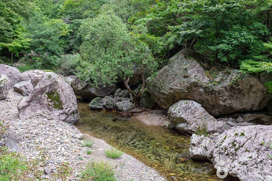 절골협곡 (청송 국가지질공원) 이미지 3