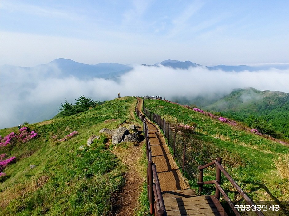 지리산국립공원(남원) 이미지 1