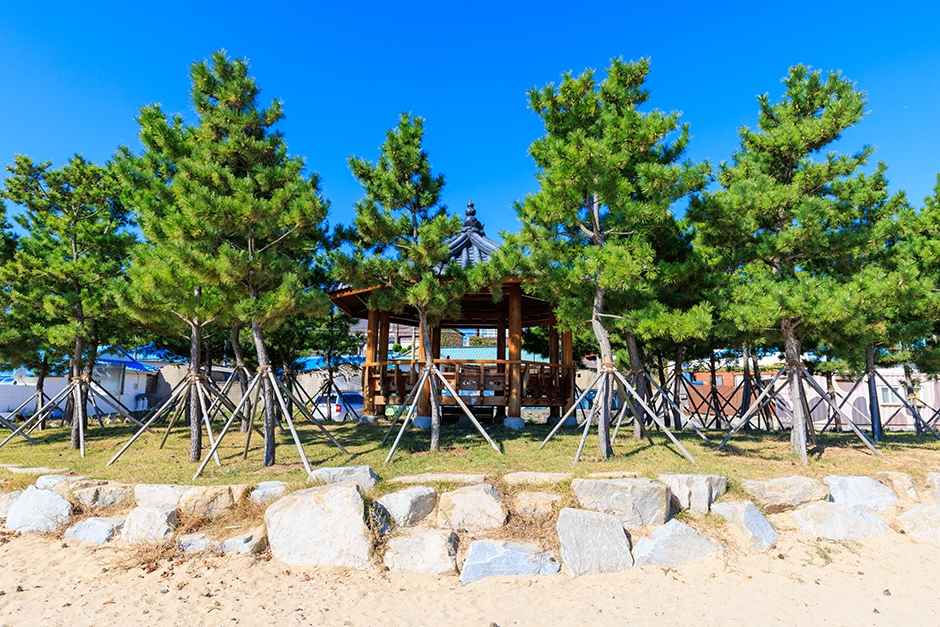 죽천해수욕장 이미지 5