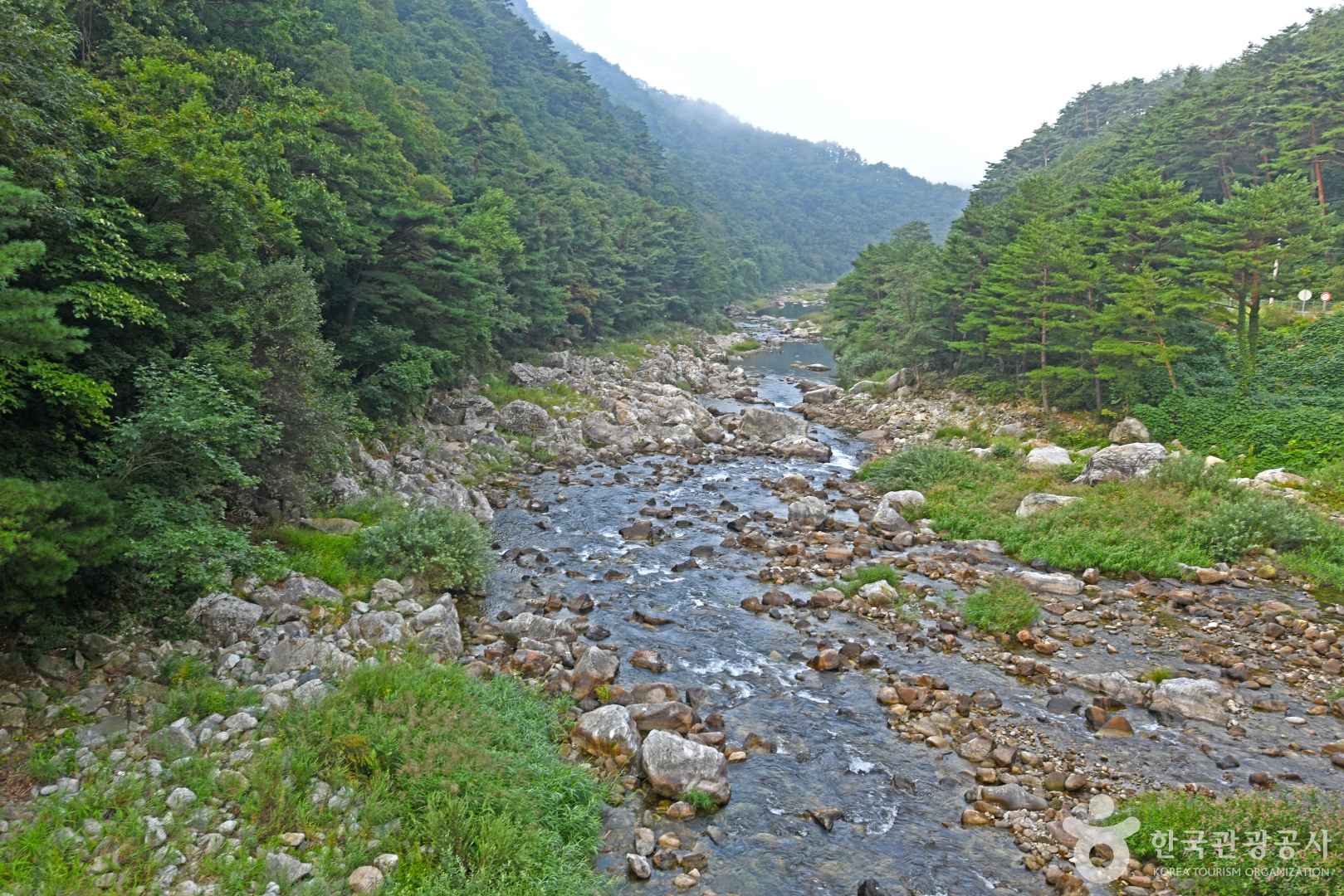추대계곡 이미지 4