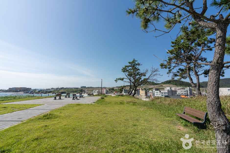 구룡포해수욕장 이미지 5