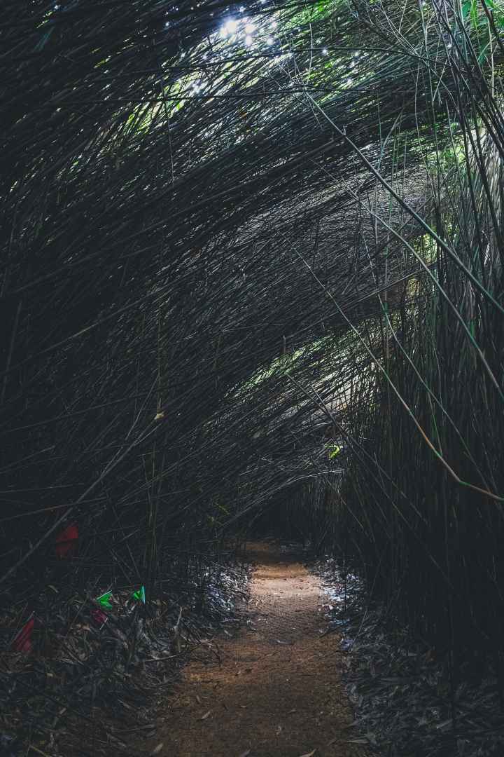 샛바람소리길 이미지 3