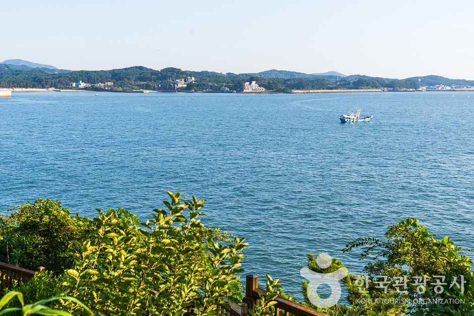 죽도(보령) 이미지 4