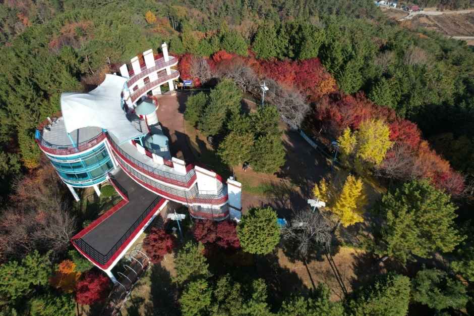 진양호 공원 (진양호 전망대, 동물원) 이미지 5