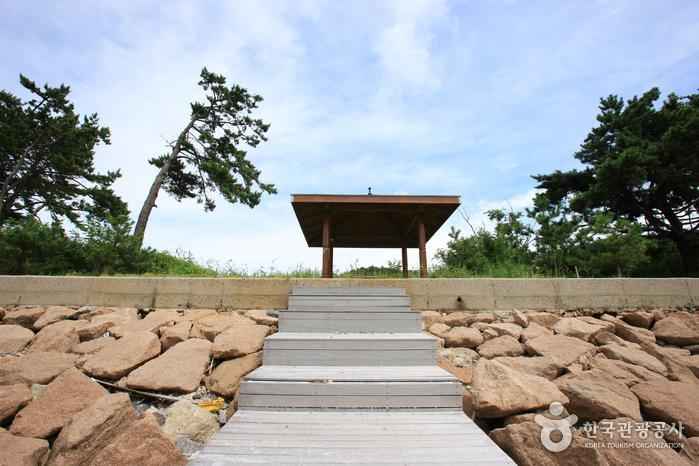 자은 분계해수욕장 이미지 7